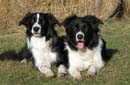 IMG_0198 kopie